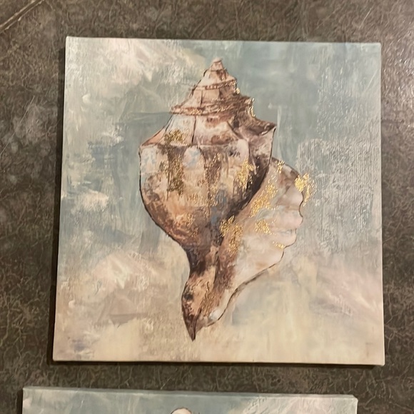 Shell Canvas Photo - Picture 2 of 2